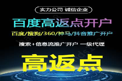 SEM专员案例：数据分析与优化